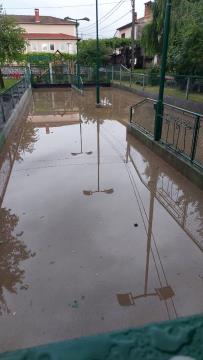 Neurje v občini Sežana; Vir: Arhiv Občine Sežana